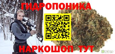 мяу мяу мука Гусь-Хрустальный